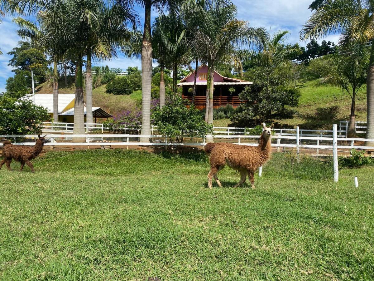 Pousada Rancho Na Serra Espera Feliz Kültér fotó